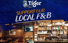    Tiger - Tiger Tiger, burning bright raising money, doing right