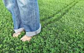    Levi's - Buy Better, Wear Longer