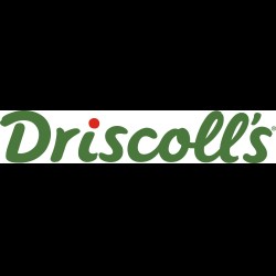 Driscoll's